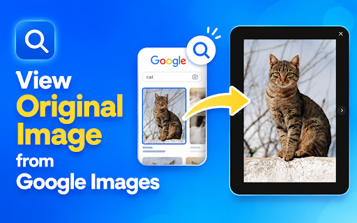 View original image from Google Images :: Clicking on a thumbnail in a Google Images search will automatically take you to the full-size original image, skipping the preview…