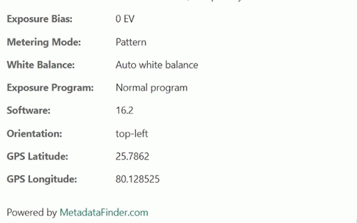 Image Metadata Viewer :: View detailed metadata (EXIF, dimensions, size) of images on any webpage.