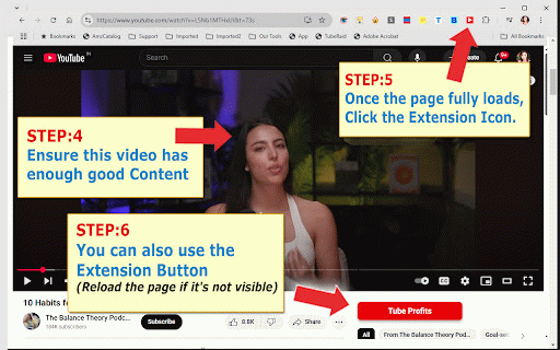 TubeProfits, YouTube Transcript to AI Content Creator :: Turn YouTube video transcripts into text summaries and AI-generated content.