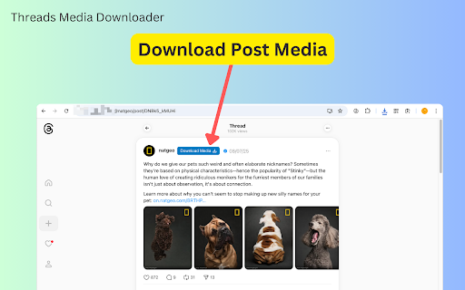 Threads Media Downloader :: Easily bulk download every image and video from any Threads profile.