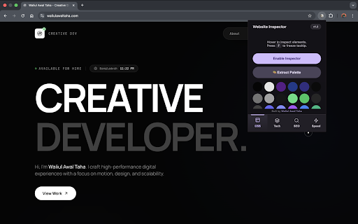 Website Inspector :: The ultimate developer toolkit.