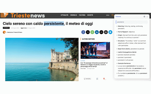 Oldwise Summarize :: Select text on any page to learn or summarize it with AI, in your own language.