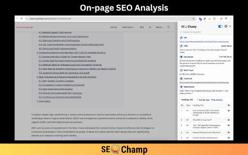 SEO Champ :: Perform SEO audits including On-Page SEO, Broken Link analysis, Page Speed analysis, Server Response check, and SERP analysis.
