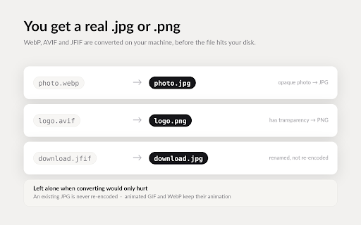 Image Grabber — Save images as real JPG or PNG :: Save any image as a real JPG or PNG. Converts WebP, AVIF and JFIF locally in your browser — no uploads, no quality loss.