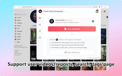 TK Video Downloader :: Download TikTok videos without watermark. Batch save from profiles, search & posts. High quality, fast, easy one-click downloads.