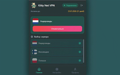 Kitty Net VPN :: VPN расширение с поддержкой подписки