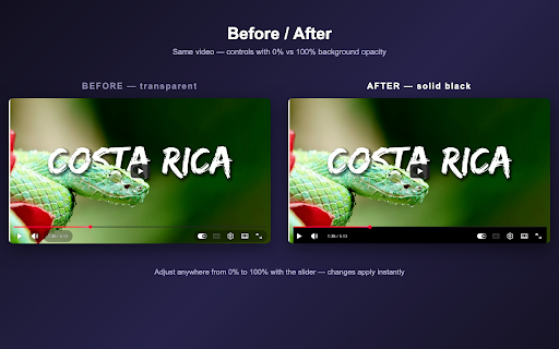 YouTube Player Accessibility :: Make YouTube player controls easier to see and use with accessible viewing profiles.