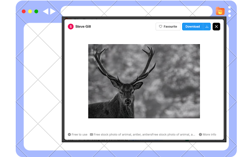 PicPortal :: Your gateway to a world of images. Streamline your search and download high-quality pictures effortlessly.