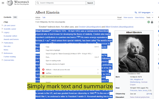 SummarAIze: AI Text Summarizer :: ✨ SummarAIze is a powerful Chrome extension that uses AI to help you quickly summarize text. Whether you're reading articles,…