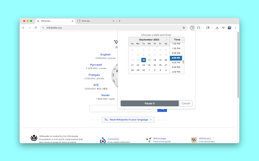 PauseTab :: Pause (snooze) tabs and reopen them later