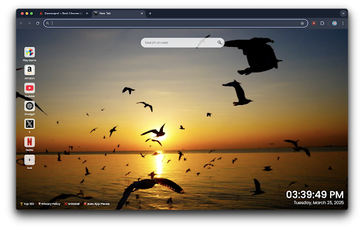 Sunset and Migratory Seagulls Live Wallpaper :: Relax with Sunset & Seagulls Live Wallpaper – a stunning Chrome extension featuring a peaceful animated sunset with soaring seagulls