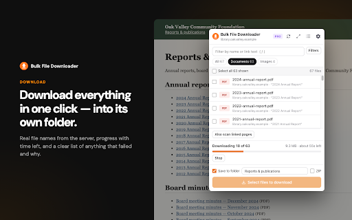 Bulk File Downloader - Download All Files from any Website :: Find every file on a page — PDFs, documents, images, archives — and download them in one click. Free up to 50 files per batch.