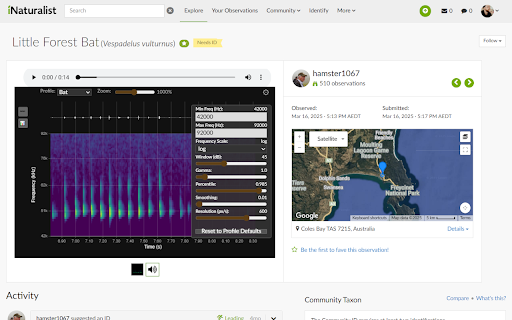 iNatSpectro :: The missing Spectrogram for iNaturalist - Displays a spectrogram for audio on iNaturalist observation pages using the Web Audio API.