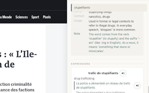 LangReader — Language Learning :: Select text on any page to translate, explain grammar, and save to your vocabulary bank.