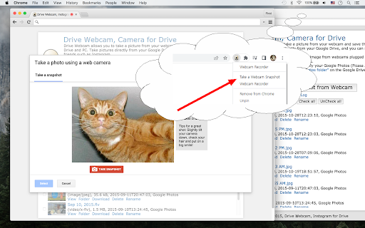 Webcam Recorder :: Record videos from webcam and save them to computer/Drive. Share them with your friends.