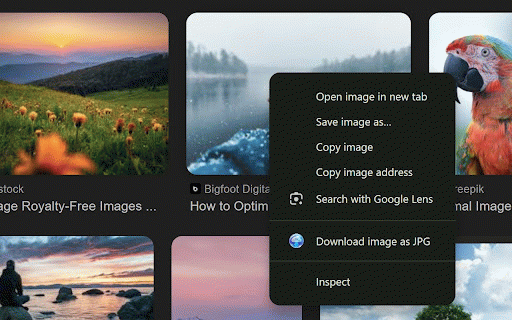 Smart Image Downloader :: Direct click to convert and download images as JPG, PNG, or WebP. Compress and resize images.