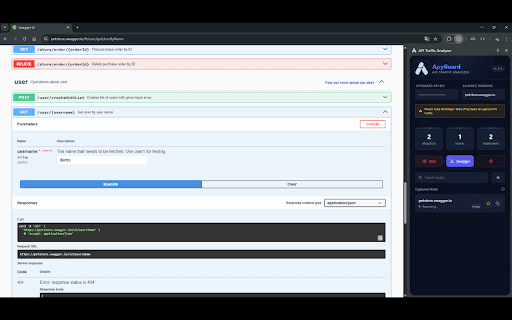 Apyguard API Discovery :: Capture API traffic and generate documentation.