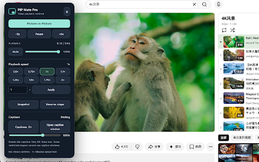PiP Mate Pro :: One-click native picture-in-picture. P toggles PiP, O opens speed controls. Right-click for playback settings and enhanced PiP.