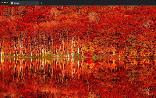 Autumn Wallpapers New Tab - Fall Season Backgrounds :: Autumn wallpapers for new tab. Fall foliage, cozy season & nature backgrounds