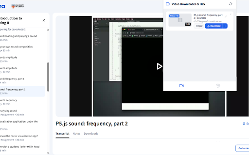 Video Downloader & HLS :: Download videos from any site. Supports HLS (m3u8), DASH, and MP4. The fast and powerful video grabber for your browser.