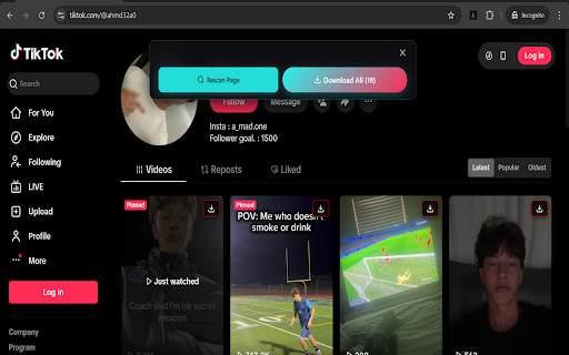 Bulk TikTok Video Downloader :: Download permitted TikTok videos you have rights to save. Respects platform rules and user privacy.