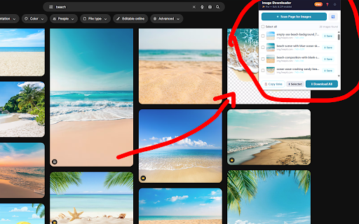 Bulk Image Downloader: Bulk Download All Image from Website Pages :: Bulk download all image files from multiple web pages. Scan websites to automatically extract and download all available images.