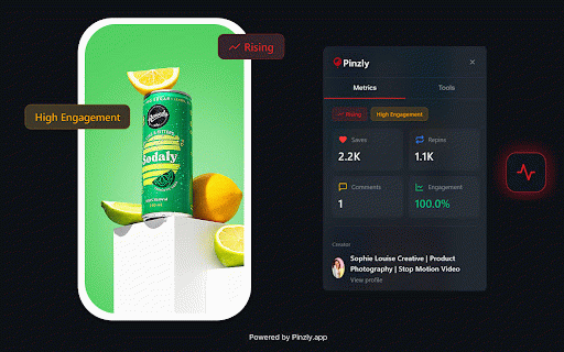 Pinterest Analytics & Tools - Pinzly :: Professional Pinterest analytics tool for Chrome—unlock hidden metrics, analyze pins, track trends, and improve performance.