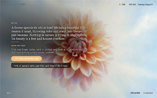Daily Gratitude :: Your daily hit of gratitude — one beautiful reason to love the life you've got, right on your new tab.