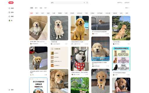RedArchive - 小红书、抖音数据采集器 :: 拦截并保存小红书、抖音搜索和用户主页数据