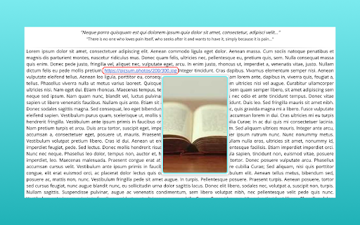 이미지링크 프리뷰 :: 이미지 URL 미리보기와 사이즈 표시