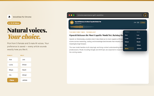 VoiceView :: Private, on-device summaries and audio briefings for any web page