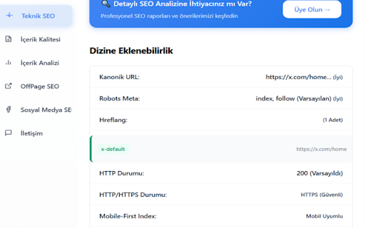 Workexe SEO Checker Lite :: Web sayfalarının SEO uyumluluğunu analiz eder
