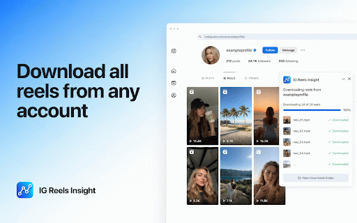 IG Reels Insight: View Performance & Engagement Analytics :: Show views and engagement insights on Instagram Reels with an IG-styled panel.