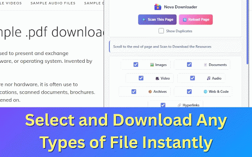 Nova Downloader – Bulk Download All Files, Videos, Images, Links, Documents :: Extract and download multiple files of any type from any website