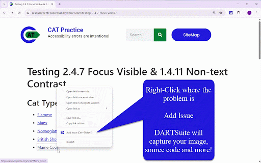 DARTSuite Extension Tools :: Accessibility Testing Tools from DARTSuite.com