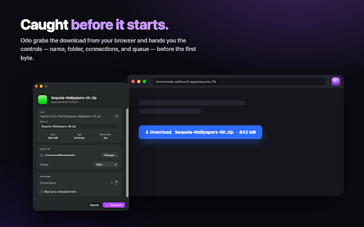 Orlo Download Manager :: Hand off downloads, links, and magnets to the Orlo app for fast, multi-connection downloading with pause, resume, and queues.