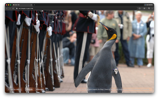 Wikipedia Picture of the Day :: Displays the Wikipedia Picture of the Day in a new tab.