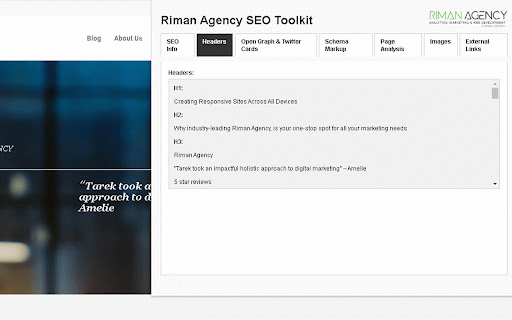 Riman SEO Meta Detector :: Detects SEO meta titles, descriptions, headers, canonical URL, and more from a webpage