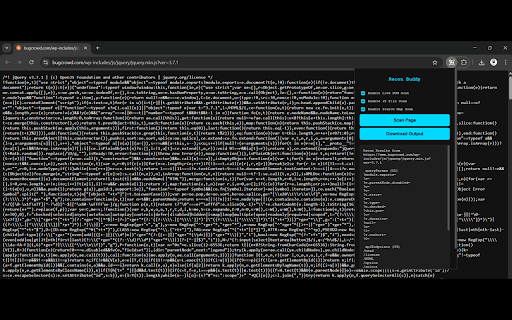 Recon Buddy :: Extract recon data like JWTs, API keys, parameters, and endpoints from visited pages.