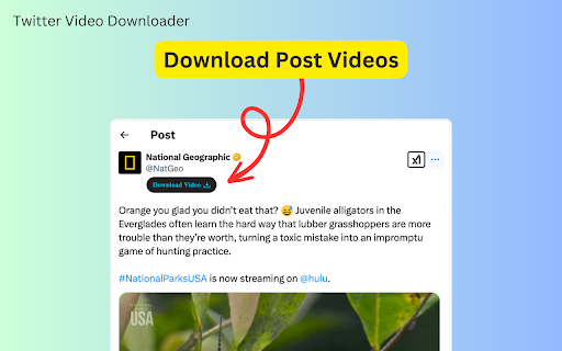 Twitter Video Downloader :: Download and save HD videos from Twitter/X in original quality with just one click – fast, easy, and secure!