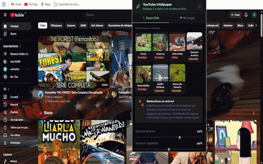 YouTube Wallpaper — VA :: Personaliza YouTube con fondos de animales chilenos en peligro de extinción o sube tu propia imagen.