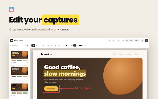 PSnap :: Crawls and screenshots your entire web app in one click. Every route, full page, exported as PNG or PDF.