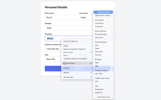 Fake Data Generator :: Fill forms with realistic fake data for testing purposes