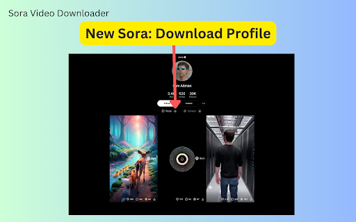 Sora Video Downloader - Save OpenAI Sora 2 videos and images easily :: Quickly save OpenAI Sora 2 videos and images while keeping their original quality.