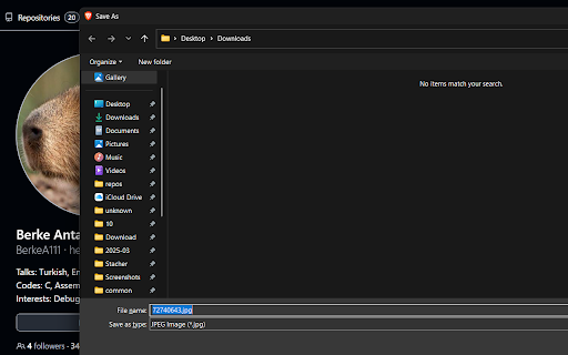 Alt-Click Image Downloader: One-Click Save, Convert & Batch Download :: Save images instantly with Alt+Left-Click. Supports direct/data/blob URLs; extracts original links from CDNs. Lightweight, private.