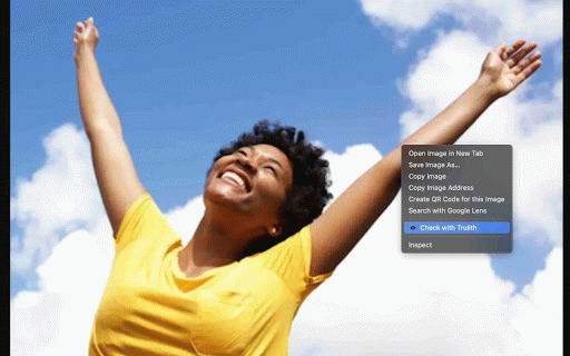 Trulith – AI Image Detector and Verification Tool :: Right-click any image or video to check if it's AI-generated using Trulith's detector.