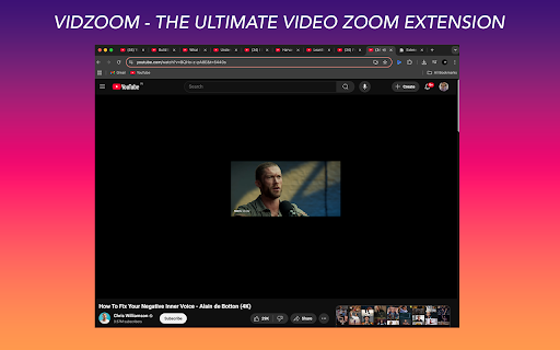 VidZoom - Ultimate Free Video Zoom :: Professional cursor-centered video zoom (Ctrl+Scroll, H to reset)