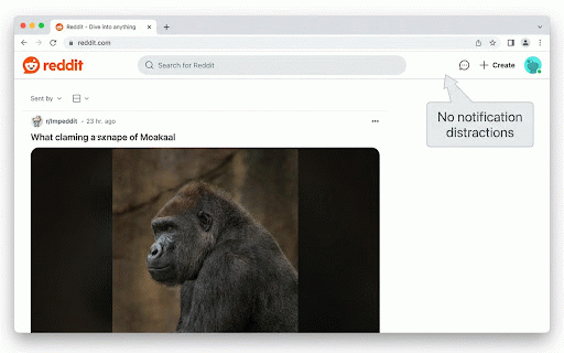 Reddit Notification Remover :: Removes all notification indicators from Reddit