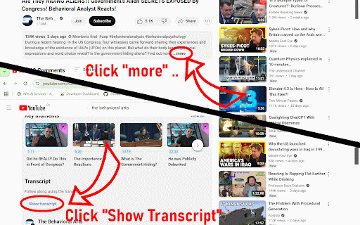 Yu2bias 1.20 :: Summarize YouTube videos and analyze them for bias using ChatGPT