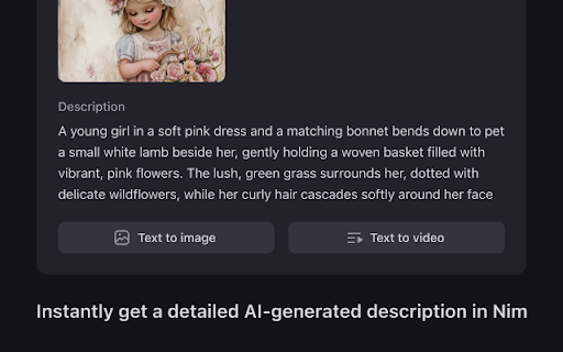 Nim - Describe Any Image :: Get an instant AI prompt from any image on the web